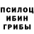 Галлюциногенные грибы Cubensis wild.division.gwt